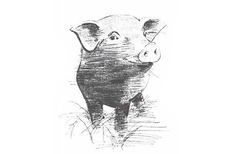 鹿児島県産　六白黒豚