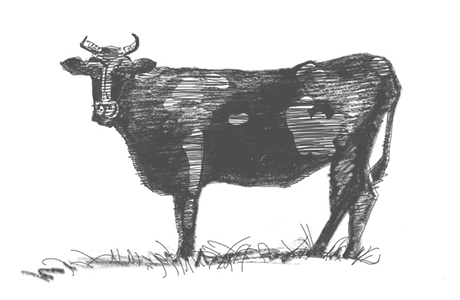 鹿児島県産　黒牛